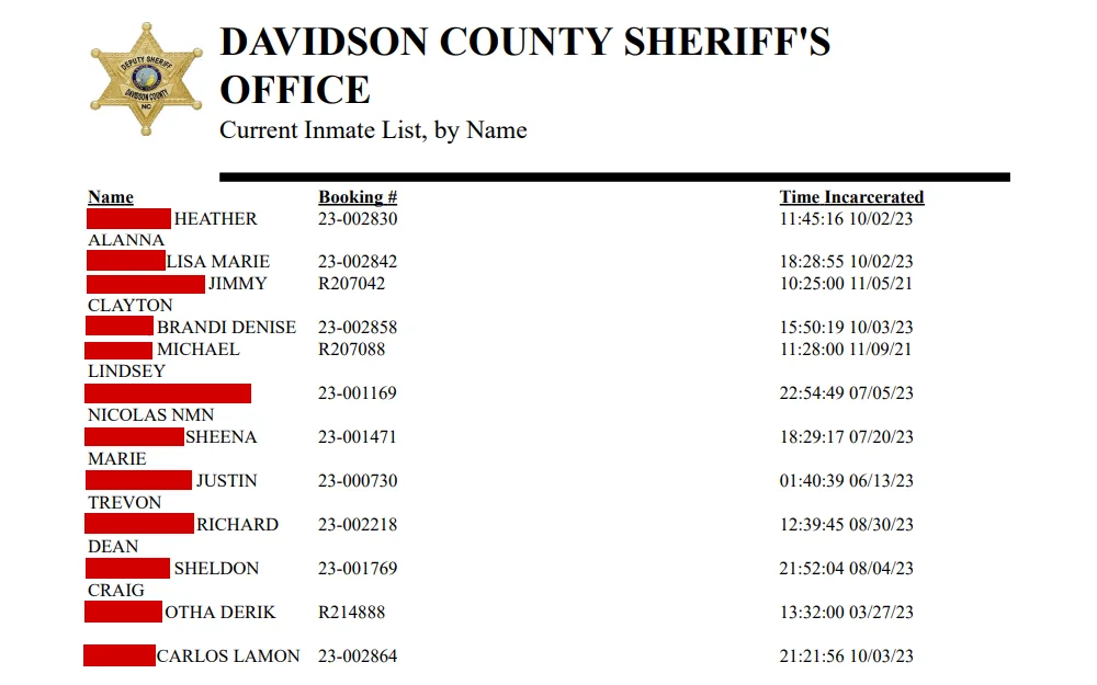 A screenshot of the current inmates in custody under the Davidson County Sheriff's Office with their full name, booking number and time incarcerated.