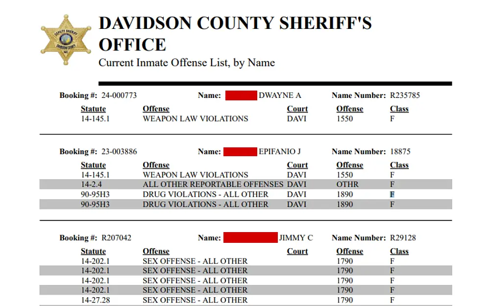 A screenshot of the Davidson County Sheriff's Office's current inmate list, which shows the following information: booking number, complete name, name number, statute, offense, court, offense number and class type. 